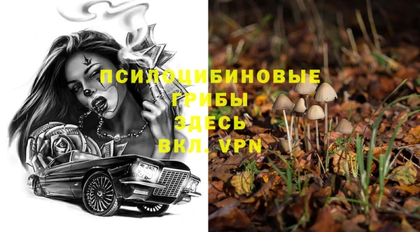 не бодяженный Аркадак