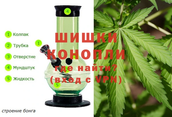 не бодяженный Аркадак