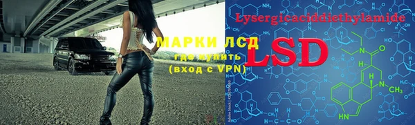 твердый Краснослободск
