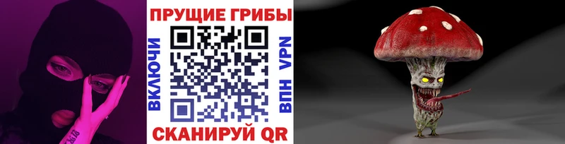 цены   Ишим  Псилоцибиновые грибы GOLDEN TEACHER 